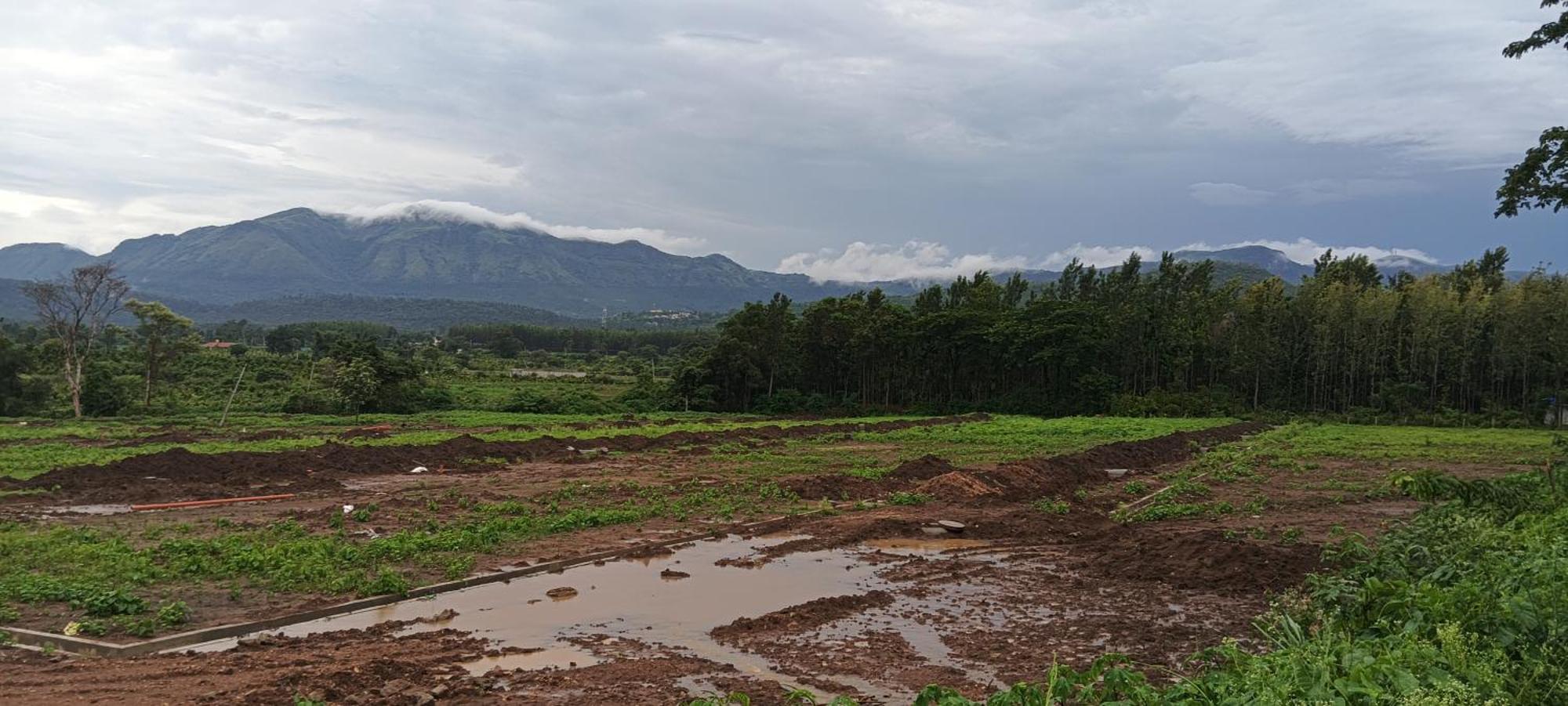 Malgudi Mane Homestay Чикмагалур Екстер'єр фото