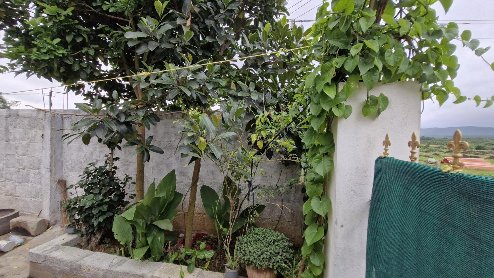 Malgudi Mane Homestay Чикмагалур Екстер'єр фото